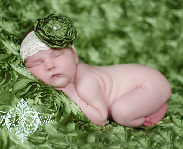 Christmas Baby Girl {Nashville, TN Newborn Photographer}